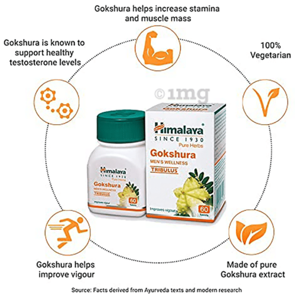 Himalaya Wellness Pure Herbs Gokshura Tablet